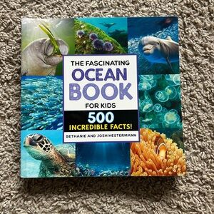 The Fascinating Ocean Book for Kids